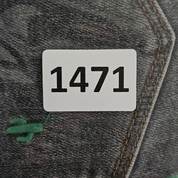 Judy Blue Shorts Grey Denim Size Large Cactus Embroidered‎ High Rise NWT Stretch - Picture 16 of 16